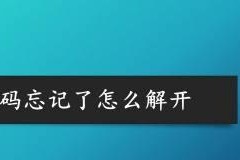 忘记密码的手机如何解锁？（解锁手机密码的有效方法与技巧）