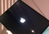 如何在iPad和iPhone之间进行同步（实用教程帮您轻松同步iPad和iPhone的数据）