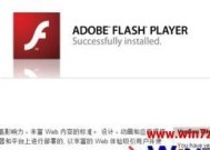 如何安装网页Flash插件（一步步教你安装Flash插件）