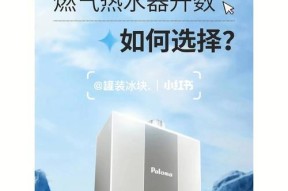 Paloma热水器故障码11原因及维修方法（解决Paloma热水器故障码11的关键）