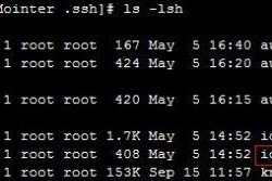 免费国内Linux服务器推荐（开启高效运营利器）