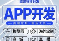 手机App软件开发费用解析（深入了解手机App软件开发的成本与回报）