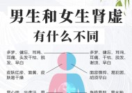 男人如何保养肾功能？日常习惯和饮食有哪些要点？