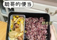 冰箱坏了怎么保存便当肉（保持食品安全的小窍门）