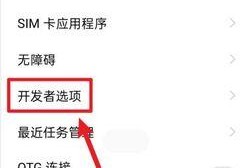 探寻oppo手机开发者选项的隐藏之地（深入了解oppo开发者选项的位置和功能）