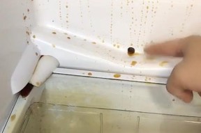 冰箱下水孔清洗的有效方法（轻松清洁冰箱下水孔）