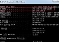 如何查看自己电脑的IP地址（使用命令查找IP地址的方法）