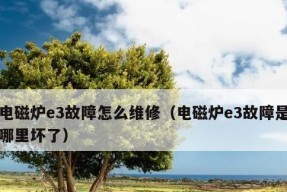 电磁炉底板损坏的维修方法（教你如何修复电磁炉底板损坏问题）