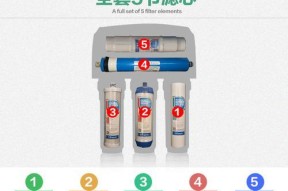 如何正确清洗扬子净水器滤芯（轻松学会扬子净水器滤芯清洗方法）