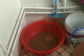 溢流式热水器清洗方法（轻松保持热水器清洁）