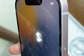 iPhoneX进水无铃声故障修复方法（解决iPhoneX进水后无法响铃的有效措施）