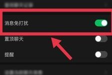 如何正确开启手机免打扰功能（掌握手机免打扰功能，享受宁静生活）