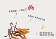 冬虫夏草真假鉴别方法是什么？如何确保购买到真品？