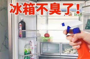 冰箱管路清洗方法——让冰箱保持良好运行的关键（学会正确的冰箱管路清洗）