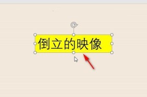 删除文本框中的重复内容（简单实用的方法帮助您清理文本框内的重复文本）