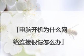 电脑开机无法连接网络的原因及解决方法（探究电脑开机无法上网的根本问题）