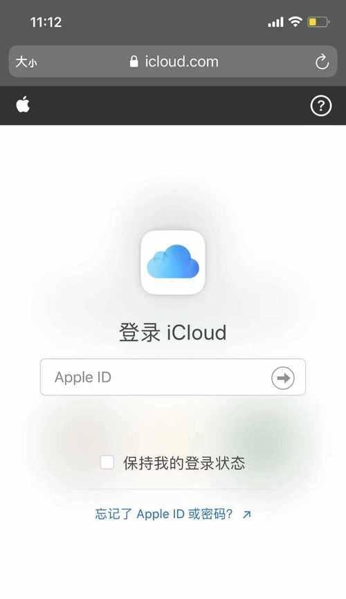 如何设置iPhone应用锁（安全保护手机应用的方法）  第3张