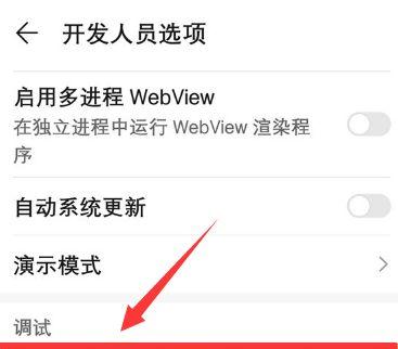 如何启用USB调试模式，提升手机连接电脑的功能性能（一步步教你开启USB调试模式，实现更多功能）  第1张