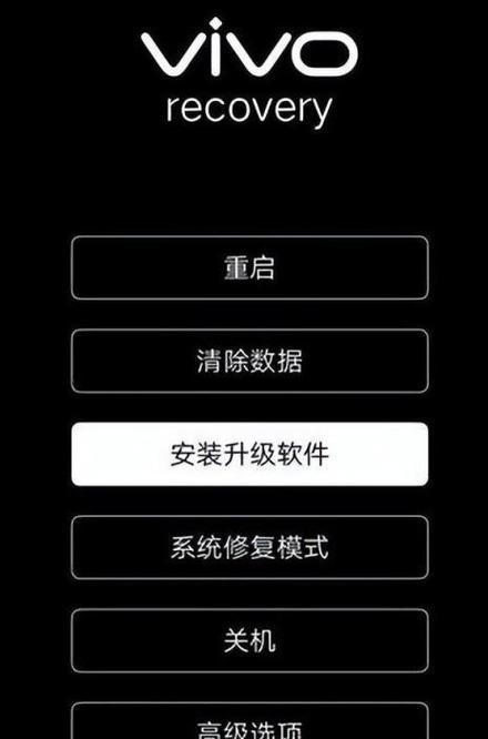 Vivo手机密码破解教程——忘记密码怎么办？（Vivo手机密码破解方法及实用技巧，帮你解决忘记密码的困扰）  第2张