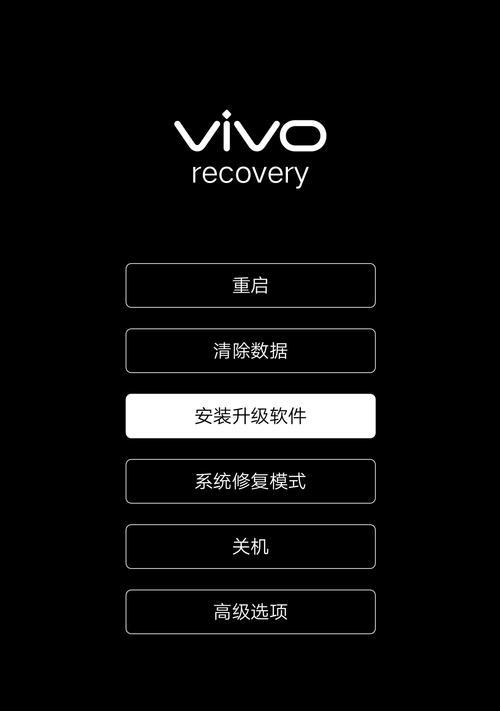 Vivo手机密码破解教程——忘记密码怎么办？（Vivo手机密码破解方法及实用技巧，帮你解决忘记密码的困扰）  第3张