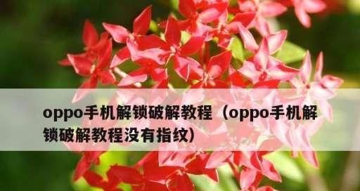 忘记OPPO手机锁屏密码了怎么办？（解开OPPO手机锁屏密码的有效方法及注意事项）  第2张