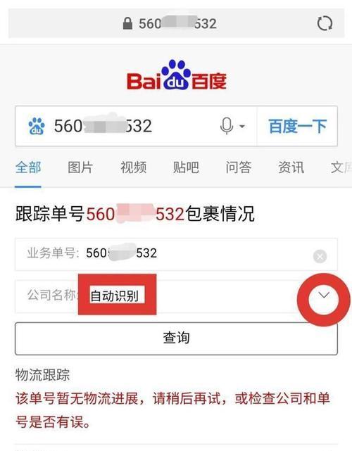 如何通过号码查询快递信息（快递信息查询的简便方法）  第3张