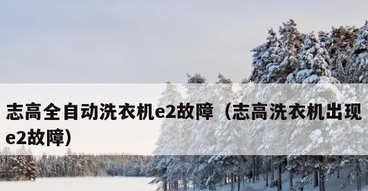 威力全自动洗衣机E2故障代码大全及解决方法（解读威力全自动洗衣机E2故障代码）  第2张