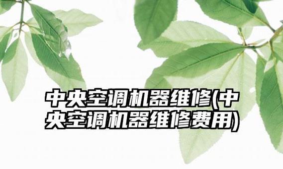 降低中央空调维修费的有效方法（节约维修费用的实用技巧）  第3张