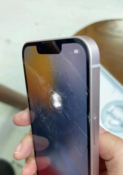 iPhoneX进水无铃声故障修复方法（解决iPhoneX进水后无法响铃的有效措施）  第1张