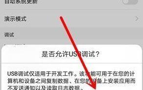 电脑无法使用USB共享网络的原因（探究电脑无法使用USB共享网络的原因及解决方法）  第3张