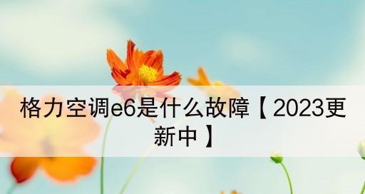 格力空调E6故障原因分析及解决方法（格力空调故障代码E6的可能原因及处理方式）  第3张