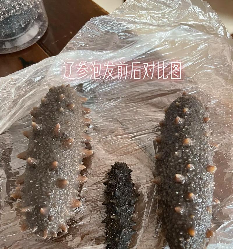 泡发好的海参如何长时间保存？有效保存方法有哪些？  第1张