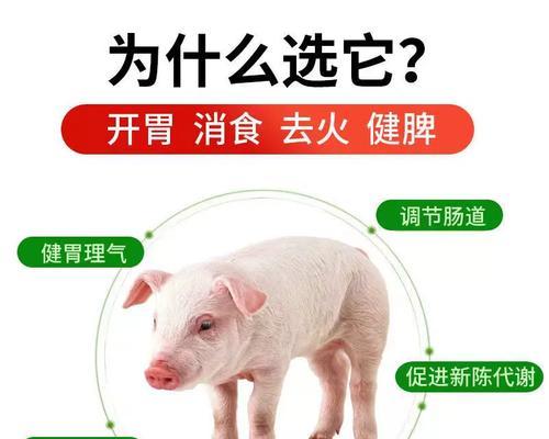 羊催肥最简单方法是什么？如何快速有效地让羊增重？  第1张