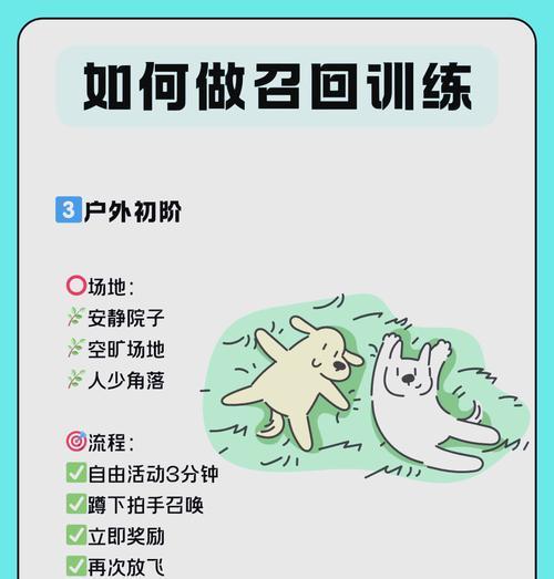 狗狗训练技巧：如何训练狗狗变得听话？  第1张