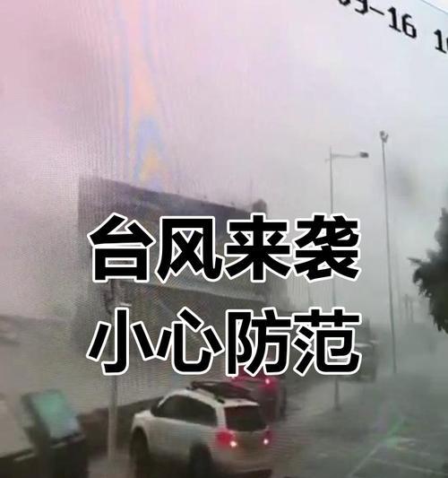 台风为什么叫山竹？山竹台风的命名由来是什么？  第1张