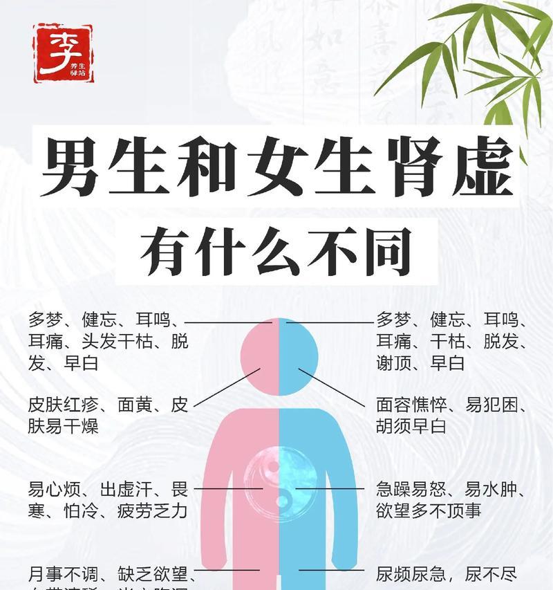 男人如何保养肾功能？日常习惯和饮食有哪些要点？  第1张