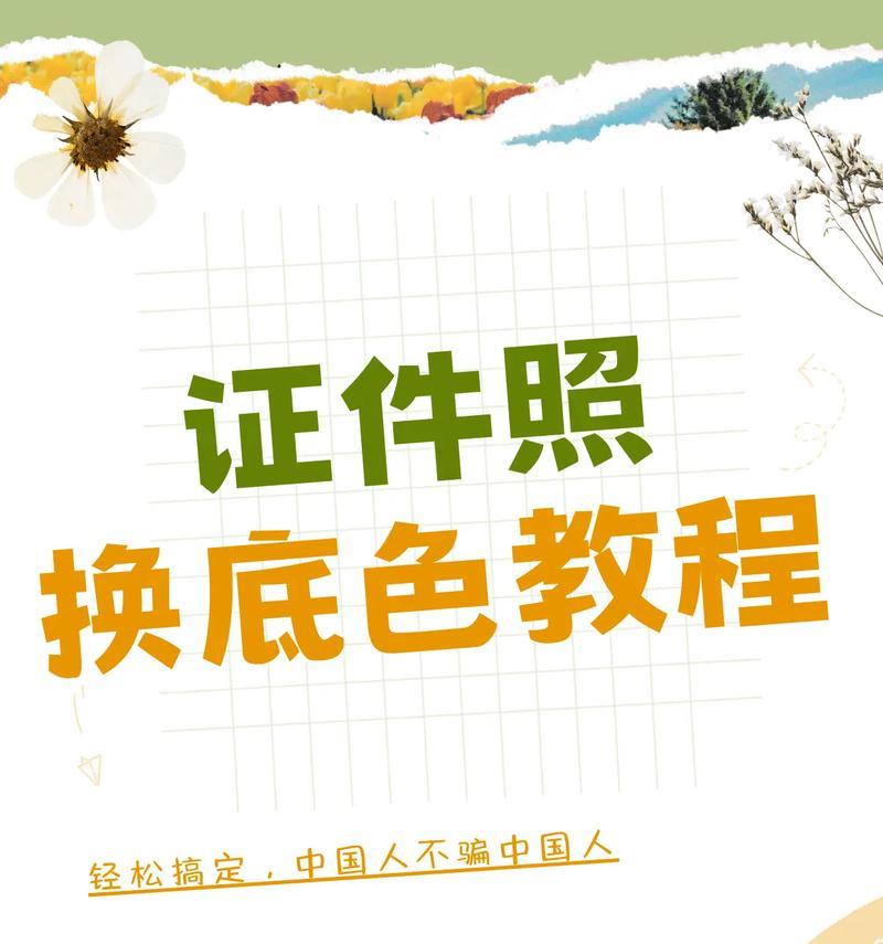 Excel证件照换背景颜色怎么换？步骤和技巧是什么？  第3张